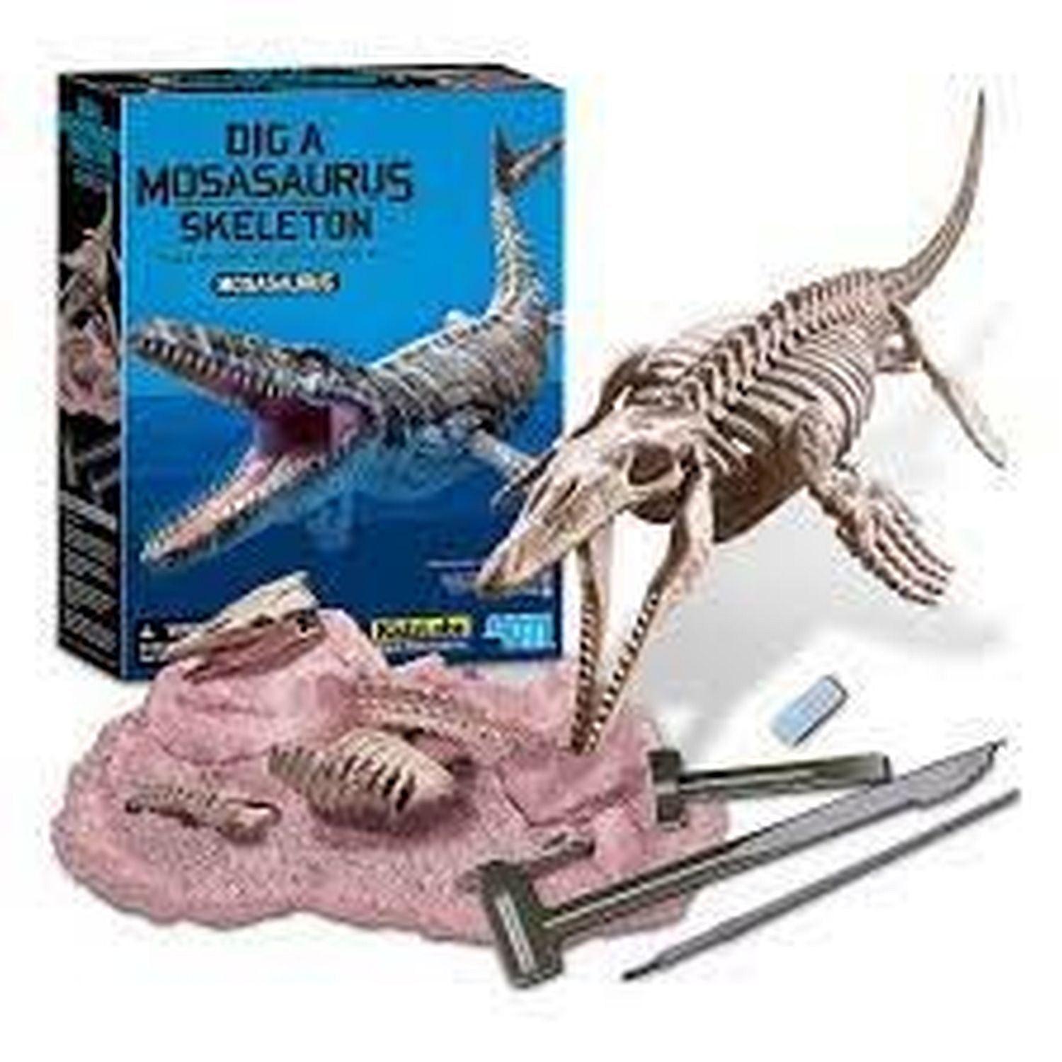 4M, 4M - Grabe ein Mosasaurus-Skelett aus