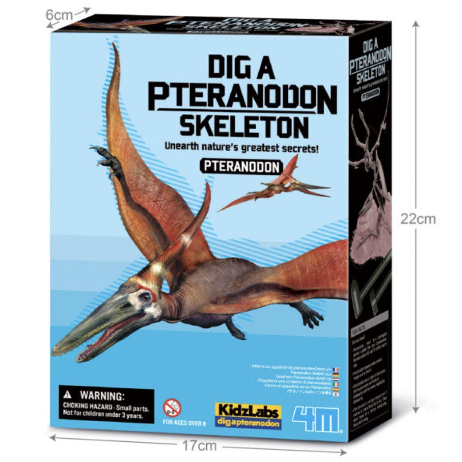 4M, 4M - Grabe ein Pteranadon-Skelett aus