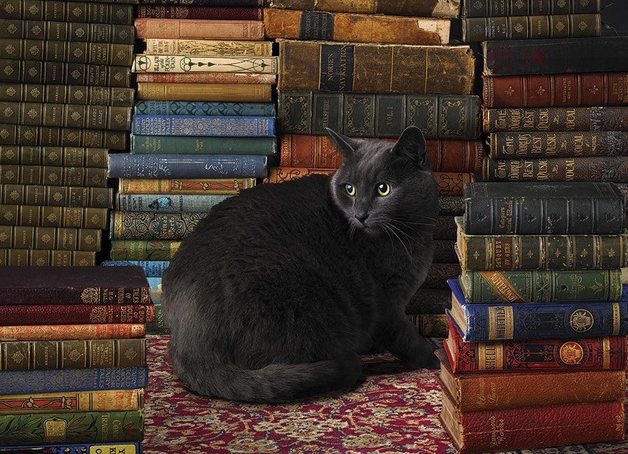 Kopfsteinpflaster-Hügel, Cobble Hill - Bibliothek Katze (1000-teiliges Puzzle)