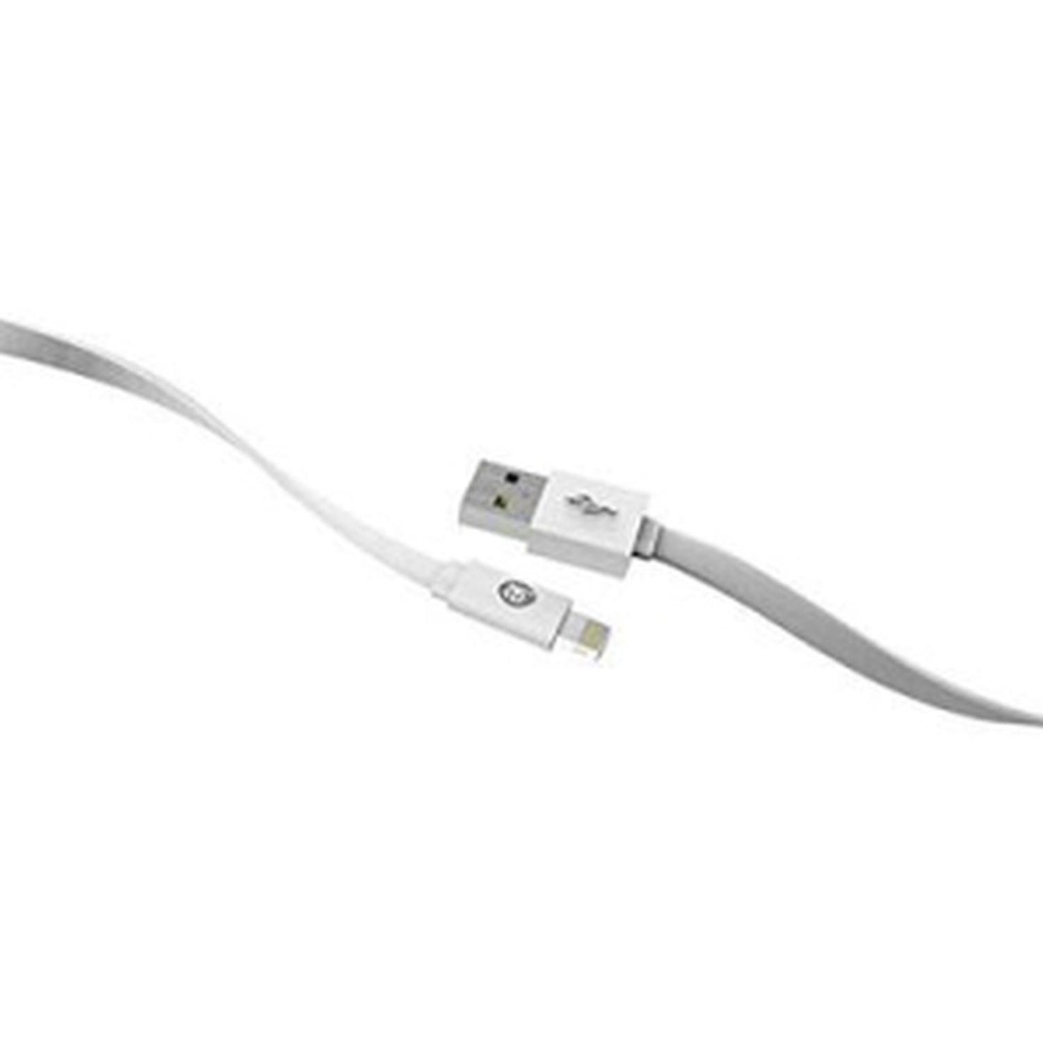 iEssentials, iEssentials - Wand-Ladegerät 2 Ampere mit Lightning-Kabel 4ft Weiß